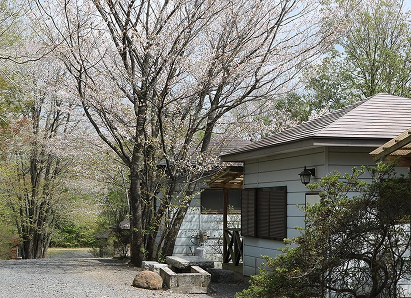 Washinosu Campground - Vacation Stay 85295V Motegi Exterior foto